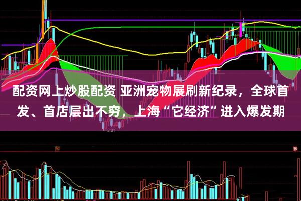 配资网上炒股配资 亚洲宠物展刷新纪录，全球首发、首店层出不穷，上海“它经济”进入爆发期